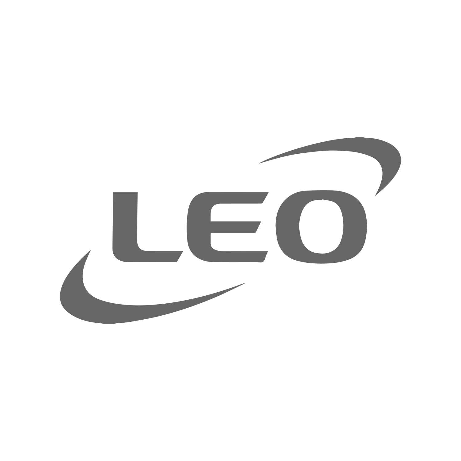 LEO