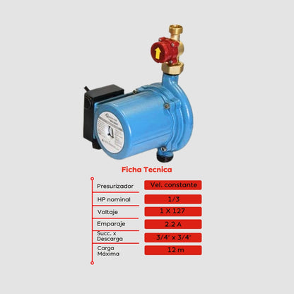 Electrobomba Bombas Minibombas 1/3 Hp X 1 und